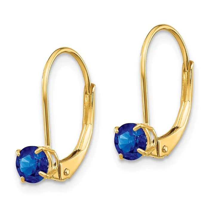 14k 4mm Round SeptemberSapphire Leverback Earrings Jewelry Earrings
