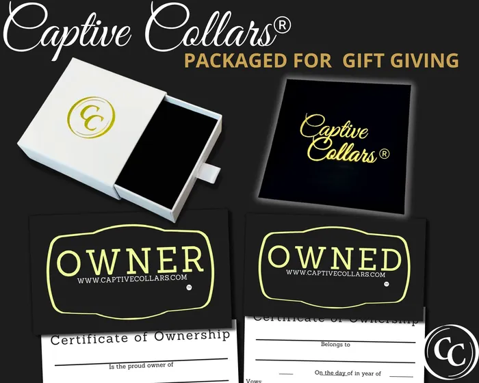 Captive Collars Necklaces Infinity Heart