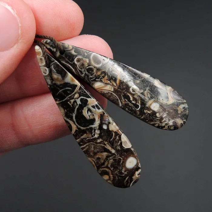 Earrings Intrinsic Trading Natural Turritella Agate Fossil Earring Pair Cabochon Cab Pair Drilled Teardrop Matched Earrings Bead Pair E2444
