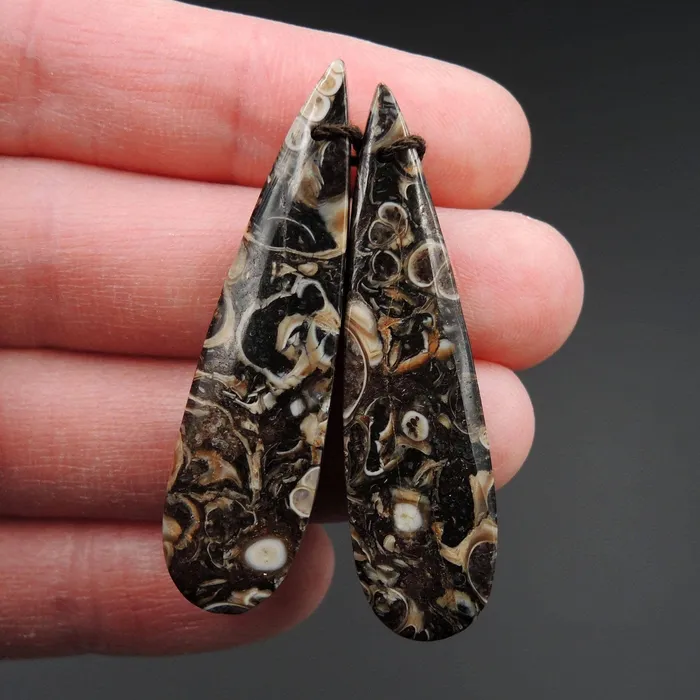 Earrings Intrinsic Trading Natural Turritella Agate Fossil Earring Pair Cabochon Cab Pair Drilled Teardrop Matched Earrings Bead Pair E2444
