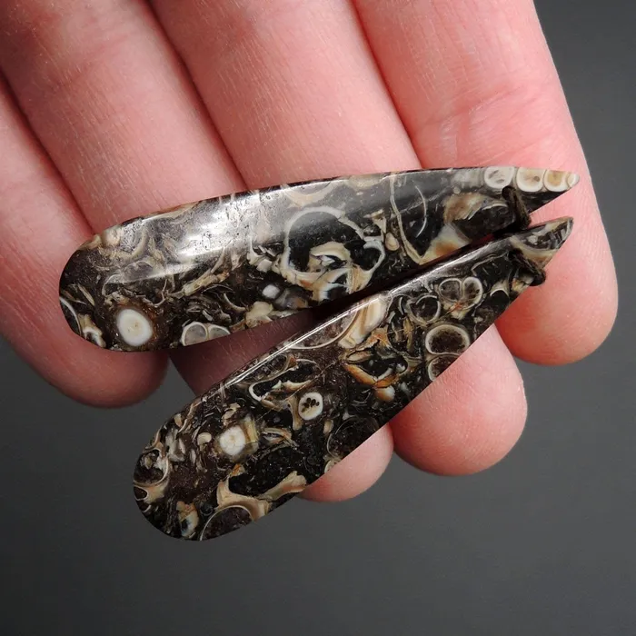Earrings Intrinsic Trading Natural Turritella Agate Fossil Earring Pair Cabochon Cab Pair Drilled Teardrop Matched Earrings Bead Pair E2444
