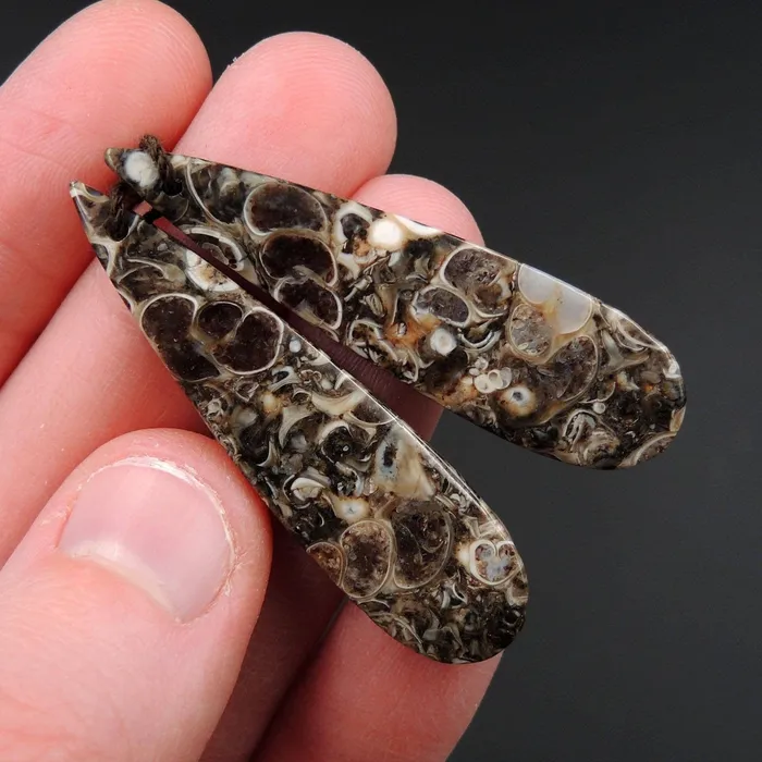 Intrinsic Trading Earrings Natural Turritella Agate Fossil Earring Pair Cabochon Cab Pair Drilled Teardrop Matched Earrings Bead Pair E2450