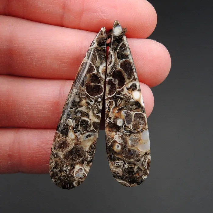 Intrinsic Trading Earrings Natural Turritella Agate Fossil Earring Pair Cabochon Cab Pair Drilled Teardrop Matched Earrings Bead Pair E2450