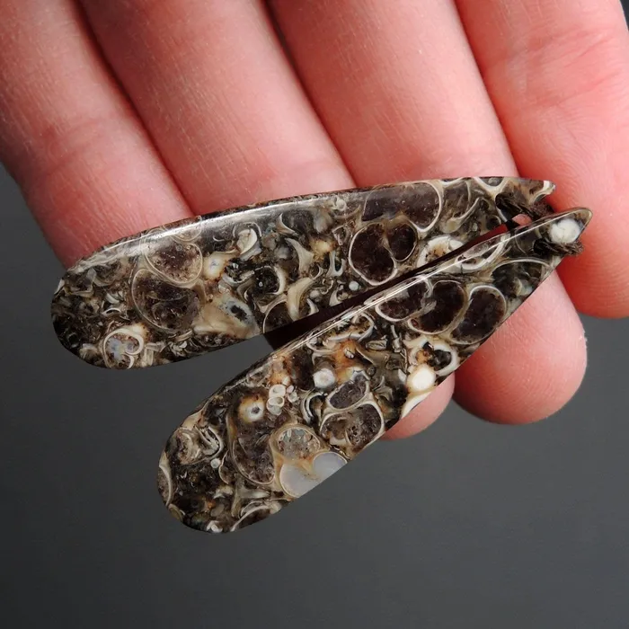 Intrinsic Trading Earrings Natural Turritella Agate Fossil Earring Pair Cabochon Cab Pair Drilled Teardrop Matched Earrings Bead Pair E2450