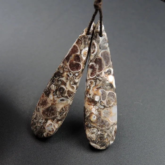Intrinsic Trading Earrings Natural Turritella Agate Fossil Earring Pair Cabochon Cab Pair Drilled Teardrop Matched Earrings Bead Pair E2450