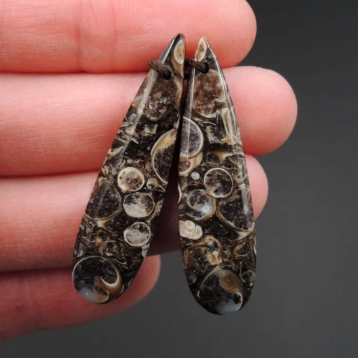 Intrinsic Trading Earrings Natural Turritella Agate Fossil Earring Pair Cabochon Cab Pair Drilled Teardrop Matched Earrings Bead Pair E2451