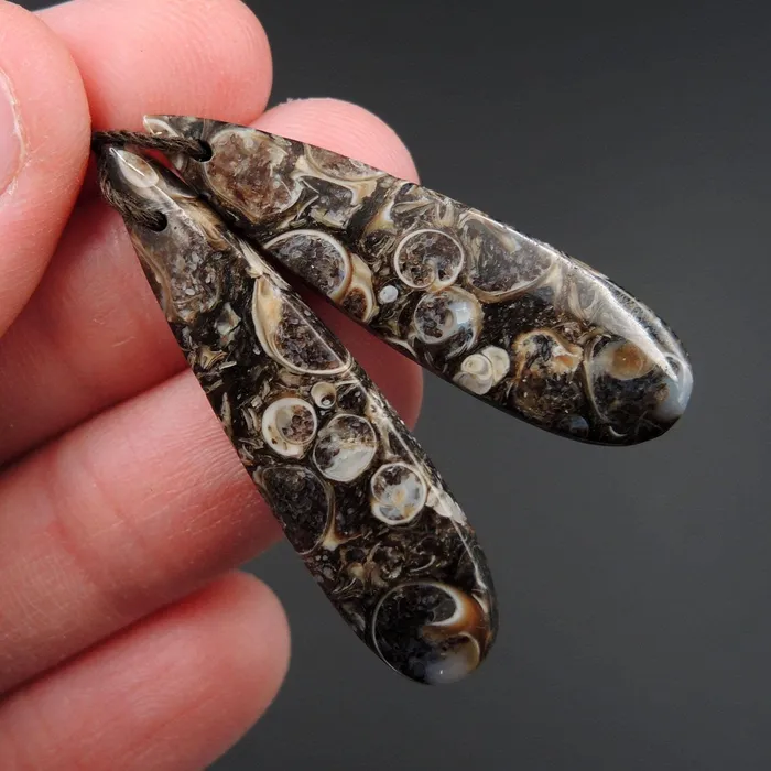 Intrinsic Trading Earrings Natural Turritella Agate Fossil Earring Pair Cabochon Cab Pair Drilled Teardrop Matched Earrings Bead Pair E2451