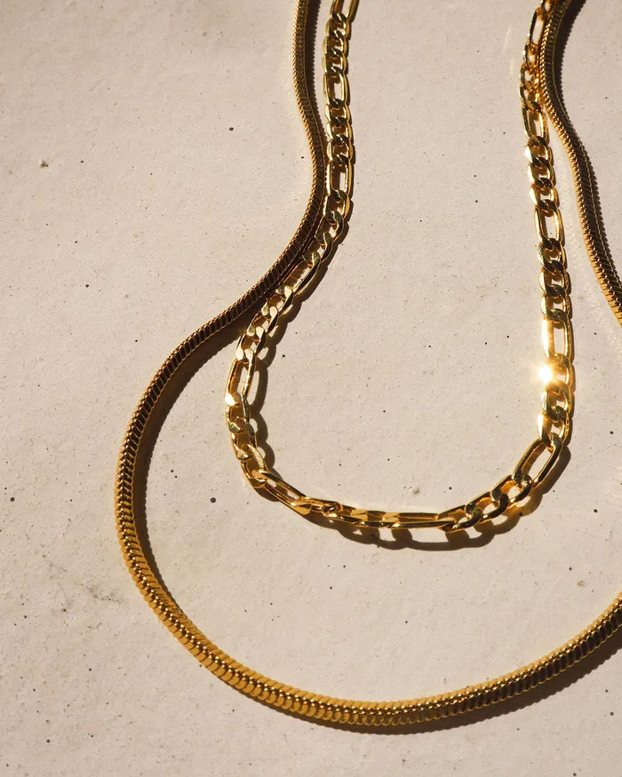 Luv Aj Necklaces Cecilia Chain Necklace Gold Ships Early April