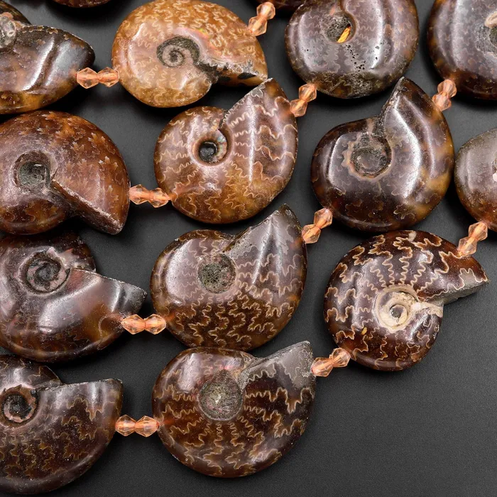 Necklaces Intrinsic Trading Natural Ammonite Fossil Beads Vertically Drilled Whole Ammonite Pendant Focal Bead 155 Strand