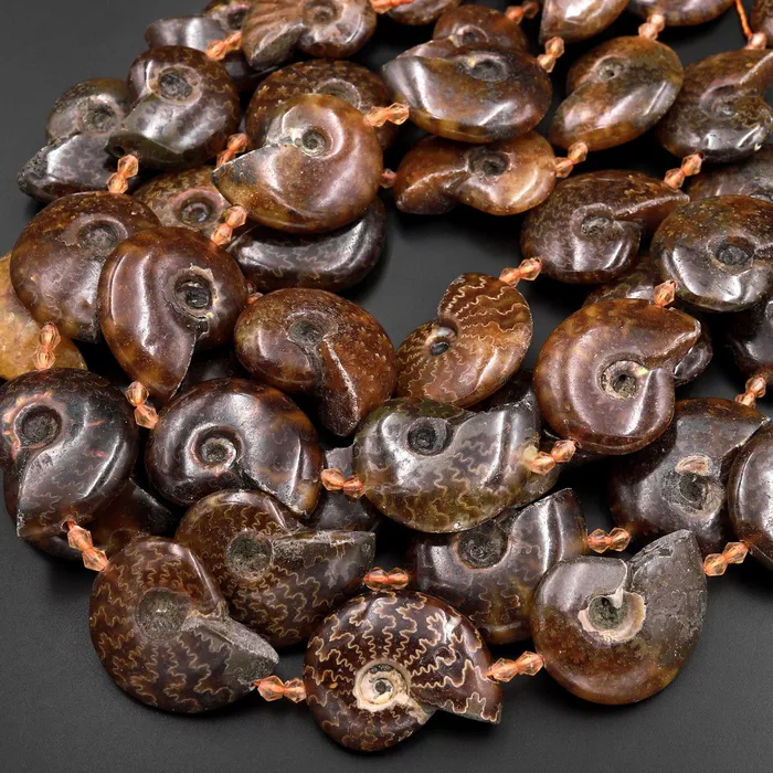 Necklaces Intrinsic Trading Natural Ammonite Fossil Beads Vertically Drilled Whole Ammonite Pendant Focal Bead 155 Strand