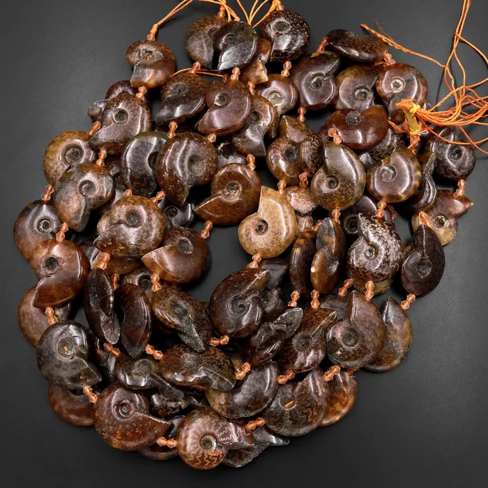 Necklaces Intrinsic Trading Natural Ammonite Fossil Beads Vertically Drilled Whole Ammonite Pendant Focal Bead 155 Strand