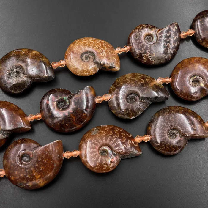 Necklaces Intrinsic Trading Natural Ammonite Fossil Beads Vertically Drilled Whole Ammonite Pendant Focal Bead 155 Strand